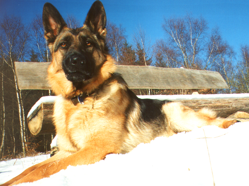 Tina Bild 1
