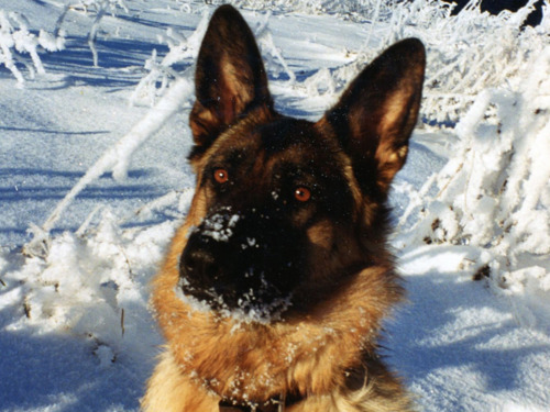 Tina Bild 2